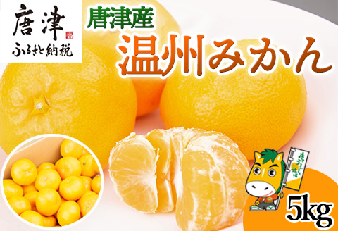 『先行予約』【11月上旬発送予定】唐津産 温州みかん 5kg バラ ハウスみかん ミカン 果物 フルーツ