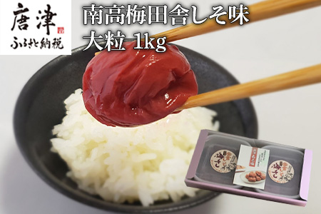 唐津七山 南高梅大粒しそ味 500g×2(合計1kg)「irodoriからつ四季の返礼品」山間から湧き出る澄んだ水をふんだんに含んだ土壌で栽培