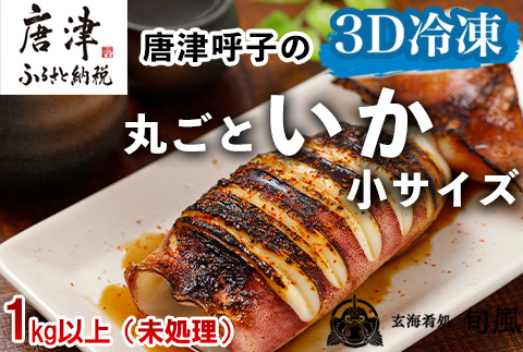 唐津呼子産 丸ごといか(小サイズ)未処理 1kg以上 海鮮 新鮮 刺身 フライ 煮物 姿焼 「2024年 令和6年」