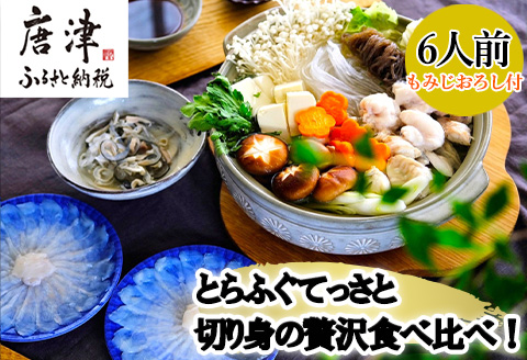 唐津産 とらふぐてっさと切り身の贅沢食べ比べ！6人前