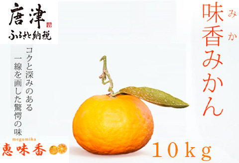 『先行予約』【令和8年2月上旬発送】果皮も丸ごとガブッ！味香みかん 10kg 新種のミカン フルーツ 果物 デザート 柑橘