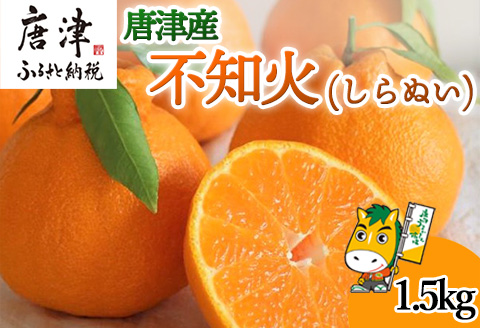 『予約受付』【令和6年12月中旬発送】唐津産 しらぬい(不知火) 1.5kg セレクト箱 みかん でこぽん オレンジ フルーツ 果物 ギフト