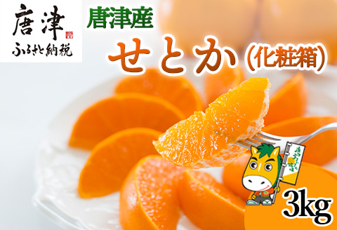 『先行予約』【令和8年1月下旬発送予定】唐津産 せとか 3kg 化粧箱 みかん ミカン オレンジ フルーツ 果物 ギフト