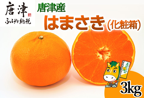 『先行予約』【令和8年1月下旬発送予定】唐津産 はまさき 3kg 化粧箱 みかん ミカン オレンジ フルーツ 果物 ギフト