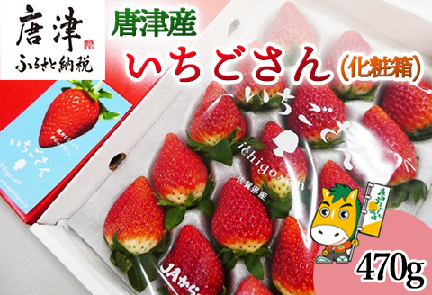 『先行予約』【1月中旬より順次発送】佐賀県唐津市「いちごさん」化粧箱 470g いちご 苺 イチゴ 化粧箱 ギフト