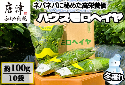『先行予約』【12月上旬より順次発送】冬穫れハウスモロヘイヤ 100g×10袋 ネバネバ 高栄養価（βカロテン/各種ビタミン/カルシウム/カリウム/葉酸など) 定番おひたし 和洋中の各種スープ 色んなお料理のソースにも 野菜 ねばねば