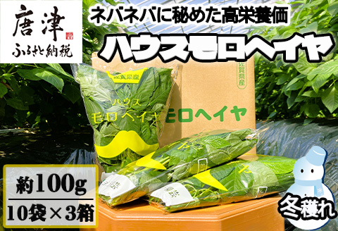 『先行予約』【12月上旬より順次発送】冬穫れハウスモロヘイヤ 100g×10袋×3箱 ネバネバ 高栄養価（βカロテン/各種ビタミン/カルシウム/カリウム/葉酸など) 定番おひたし 和洋中の各種スープ 色んなお料理のソースにも 野菜 ねばねば