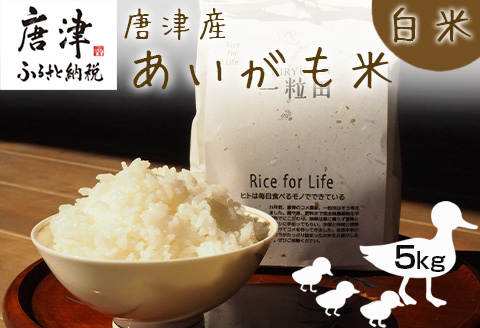唐津産 あいがも米 5kg (白米) 一粒田 合鴨農法 無農薬 無化学肥料 コメ お米 ごはん