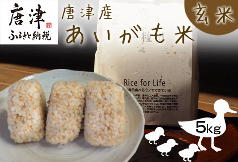 唐津産 あいがも米 5kg (玄米) 一粒田 合鴨農法 無農薬 無化学肥料 コメ お米 ごはん