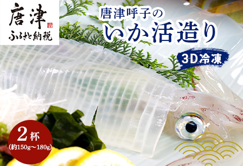 唐津呼子産いか活造り 2杯(約150g～180g×2) 急速冷凍 新鮮そのまま食卓へ！イカ 刺身 簡単 ギフト