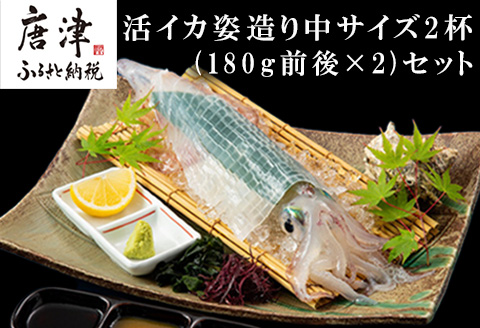 活イカ姿造り中サイズ2杯(180g前後×2)セット！ 鮮度抜群 捌きたて瞬間冷凍 いか活造り 刺身 簡単 呼子 ギフト