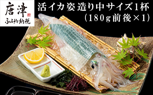 活イカ姿造り中サイズ1杯(180g前後)！ 鮮度抜群 捌きたて瞬間冷凍 いか活造り 刺身 簡単 呼子 ギフト