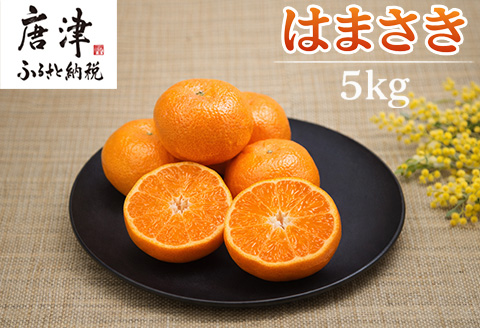 『先行予約』【令和9年2月上旬より順次発送】【特選甘熟みかん】はまさき 5kg 佐賀県産 果物フルーツ 柑橘