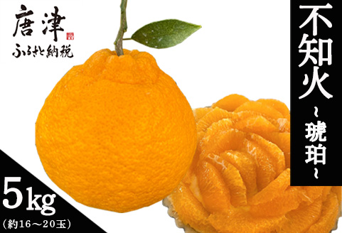 『先行予約』【令和8年2月中旬より順次発送】唐津産 不知火(琥珀) 約5kg(約16～20玉) デコポン でこぽん ミカン みかん 柑橘 フルーツ 果物