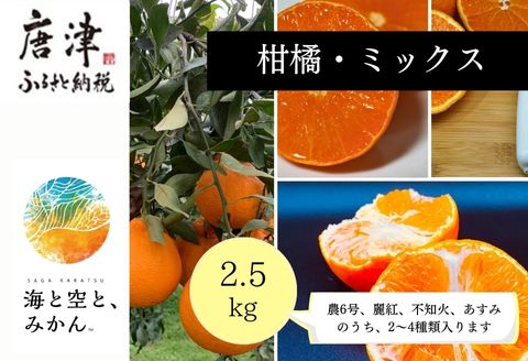 『先行予約』【令和8年1月中旬発送】唐津産ハウス育ち柑橘セット 2.5kg 手提げ箱 (麗紅・あすみ・不知火・農6号の中から2〜4種) 品種おまかせ 〜海と空と、みかん〜 ミカン フルーツ 柑橘 ギフト