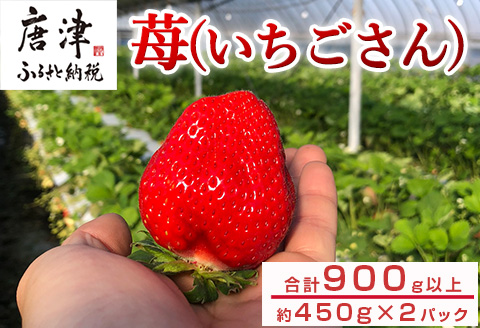 『先行予約』【12月上旬より順次発送】佐賀県唐津産いちごさん約450g×2パック(合計約900g) いちごさん イチゴ 果物