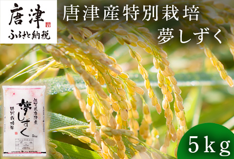 米の食味ランキング3年連続「特A」評価！ 唐津産特別栽培 夢しずく 5kg コメ 精米 お米 ごはん 白米 おにぎり