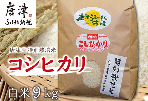 唐津産特別栽培米 コシヒカリ(白米) 4.5kg×2袋(合計9kg) ご飯 コメ お米