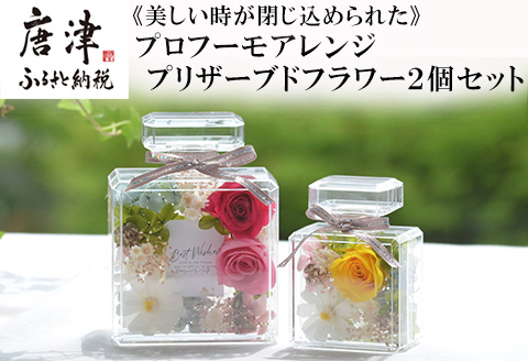 《美しい時が閉じ込められた》プロフーモアレンジ2個セット プリザーブドフラワー インテリア 置物 かわいい おしゃれ ハンドメイド 贈り物 ギフト 誕生日 枯れないお花