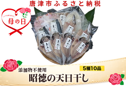 「母の日」昭徳の天日干し 1枚60g∼180g全10枚でお届けします 真あじ開き60g×4枚 真さば片身90g×2枚 かます開き80g×2枚 連子鯛開き180g×1枚 剣先いか開き70g×1枚 おかず 総菜 ギフト