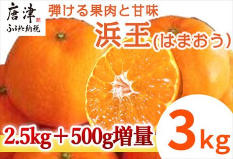『先行予約』【令和8年1月下旬発送】浜王(はまおう) ハウス栽培 唐津産 3kg 口之津(くちのつ) 39号みかん フルーツ 果物 柑橘 かんきつ