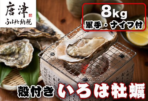 『先行予約』【12月中旬より順次発送】唐津産 殻付きいろは牡蠣 8kg(軍手・ナイフ付)期間限定 産地直送 殻付き 牡蠣 カキ 殻付き牡蠣 佐賀県 海鮮 BBQ 加熱用 お取り寄せ 贈り物 冬ギフト ギフト
