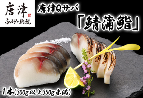 生の新食感 唐津Qサバ「鯖蒲鮨」1本(300g以上～350g未満) さば 蒲鉾 かまぼこ おつまみ ギフト 鯖 サバ 唐津 Qサバ 鯖鮨 呼福 大志 水産 魚 海鮮 水産加工