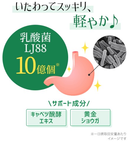 DHC 胃の中の乳酸菌 LJ(エルジェイ)88 30日分