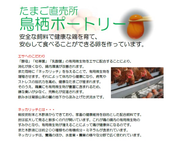 たまご 50個入り Ｍサイズ ※破損保証5個含む 卵 鶏卵 タマゴ ※配送不可:離島