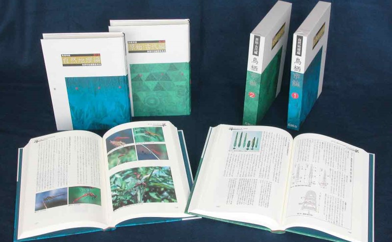 本 鳥栖市誌 セット 全5巻