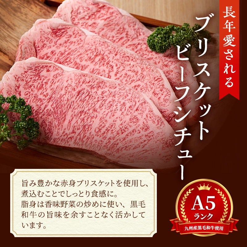 冷凍 ビーフシチュー 九州産 ハンバーグ・オニオン特製 ブリスケットビーフシチュー 180g×4個