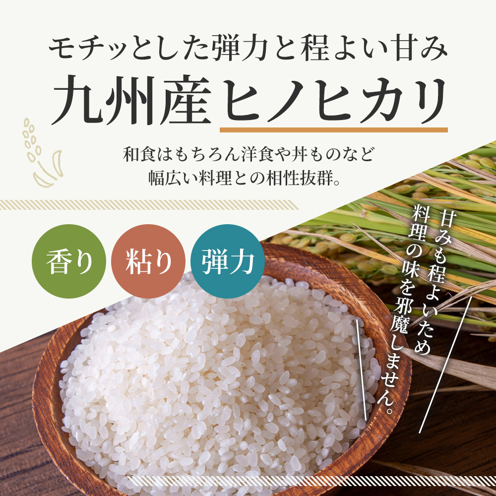 パックご飯 48食 150g 3食×8 2ケース ヒノヒカリ 低温製法米のおいしいごはん パックごはん 備蓄 非常用 キャンプ
