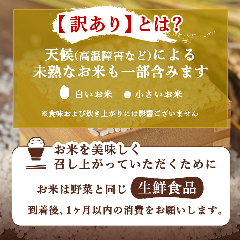定期便 6ヶ月 訳あり 米 鳥栖市ふるさと納税限定がばいU米(うまい) 【無洗米】 5kg 五つ星お米マイスター厳選 (お徳用ブレンド米) 家庭用 生活応援 ※配送不可：離島
