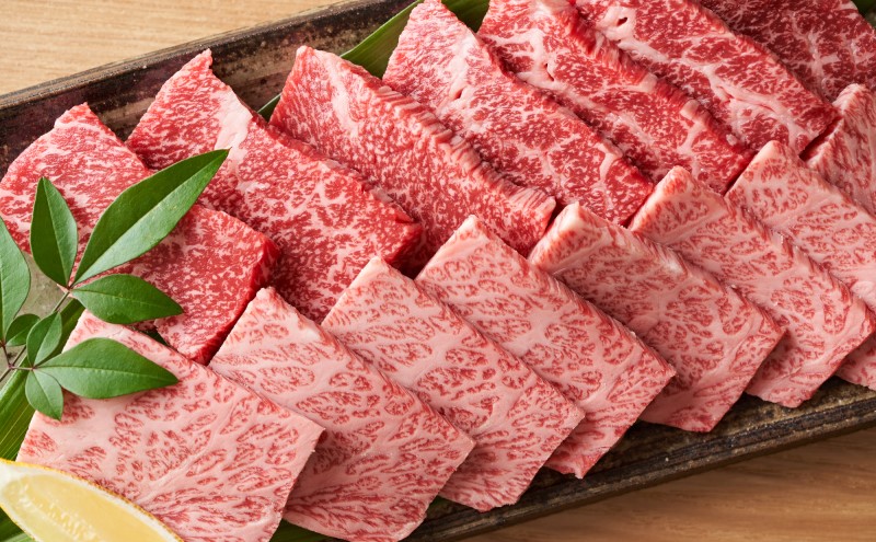 佐賀牛 艶さし！【A4～A5】佐賀牛焼肉用 500g 肉 お肉 牛肉 和牛 牛 ※配送不可：離島