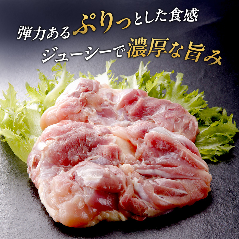 みつせ鶏 もも 4kg 鶏肉 鶏もも