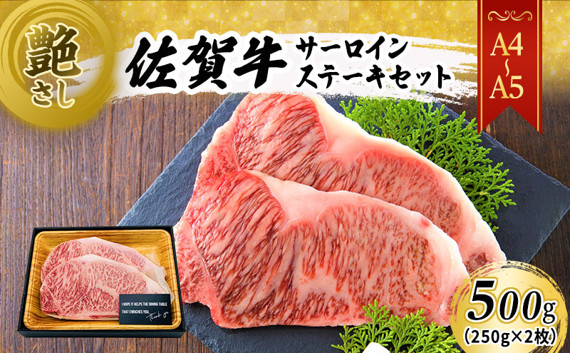 佐賀牛 艶さし！【A4～A5】佐賀牛サーロイン ステーキ セット 500g（250gx2枚） 肉 お肉 牛肉 和牛 牛 ※配送不可：離島