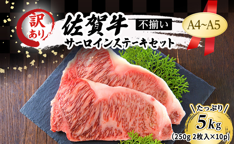 訳あり！ 佐賀牛 【A4～A5】佐賀牛サーロイン ステーキ セット 5kg（250g 2枚入りx10p） 肉 お肉 牛肉 和牛 牛 ※配送不可：離島