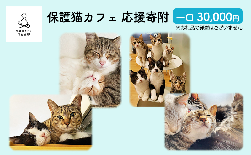 保護猫カフェへの寄附 【お礼品の発送はございません】一口30,000円