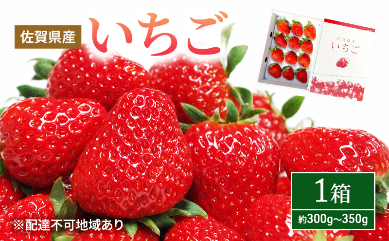 いちご 1箱 (約300g〜350g) 佐賀県産 イチゴ 苺 果物 フルーツ デザート ※配送不可:北海道