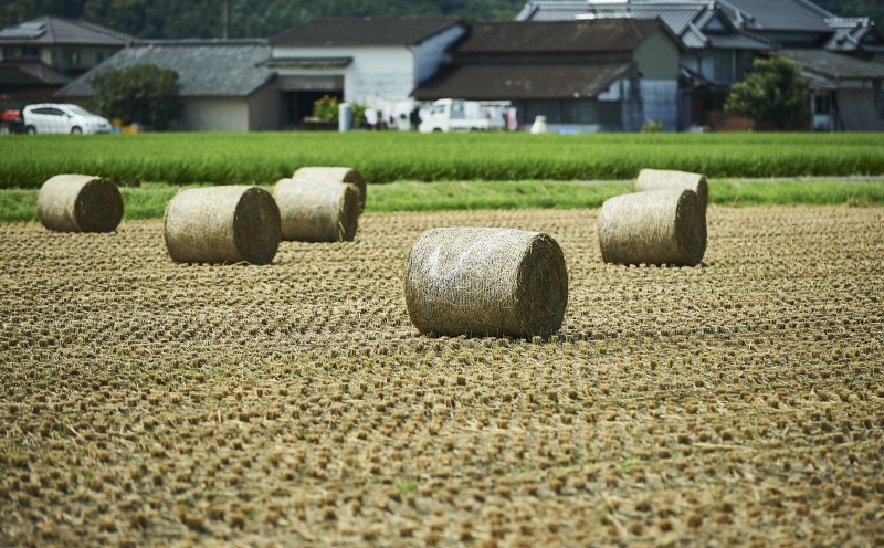 佐賀牛 サーロイン ステーキ 200g/すきやき 400g ※配送不可：北海道、沖縄、離島