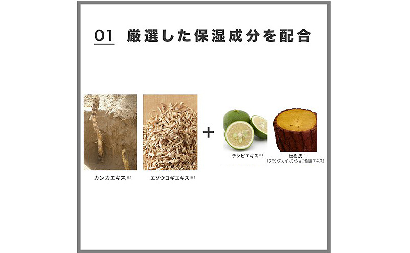 育毛 ラボモ シルキーソフト 育毛ローション 90mL 頭皮環境 髪 頭皮 美髪 育毛ケア 発毛促進 女性用 植物由来