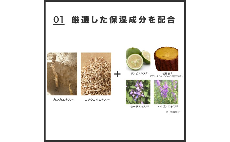 育毛剤 ラボモ アートブラック ローション 2本セット 90mL×2 髪 育毛 脱毛予防 発毛促進 男性用