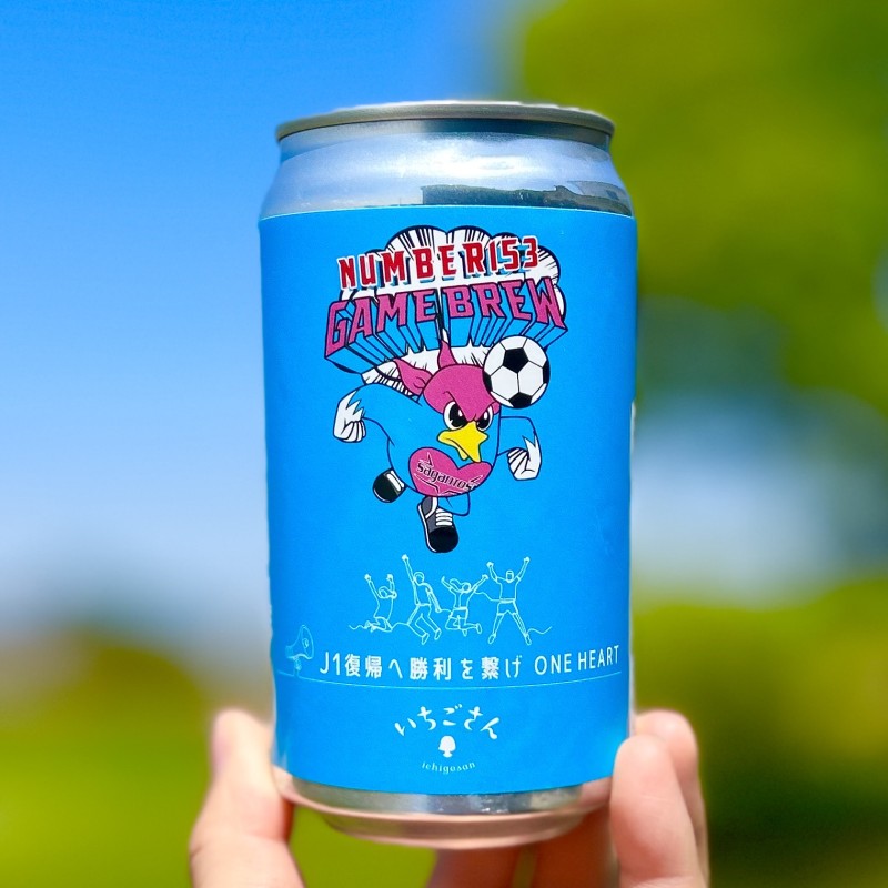 クラフトビール NUMBER153・NUMBER17 各3本 計6本 セット ビール お酒 クラフト