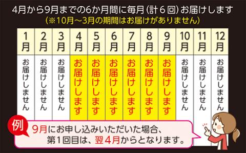 ｋ-５　大人気！昭和２１年創業　老舗の極みハンバーグの定期便