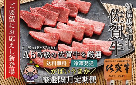 n-7【定期便6回】大人気の赤身も食べられる！佐賀牛 定期便 奇数月発送 全6回