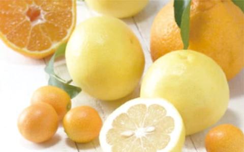 c-104 佐賀産柑橘（かんきつ） 約5kg