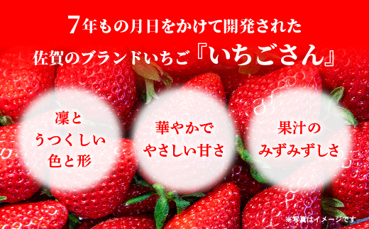 いちごさん 4パック _b-496