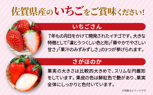 いちご食べ比べ（いちごさん・さがほのか） _b-497