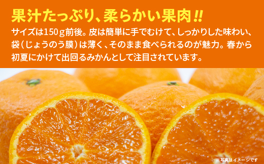 南津海（なつみ）みかん 4.5kg _b-501