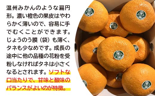 【数量限定】西南の光 2.5kg（化粧箱入り）みかん 柑橘 _c-137